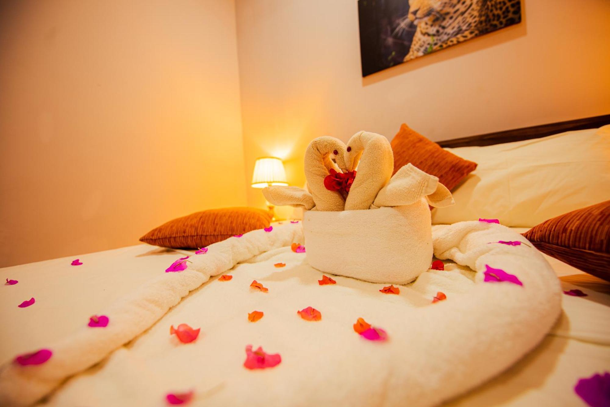 C B S Resort Udawalawe Εξωτερικό φωτογραφία